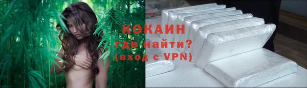 шишки Медногорск