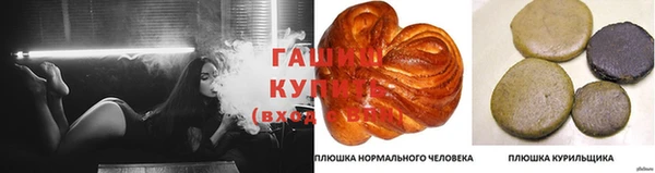 гашик Медвежьегорск