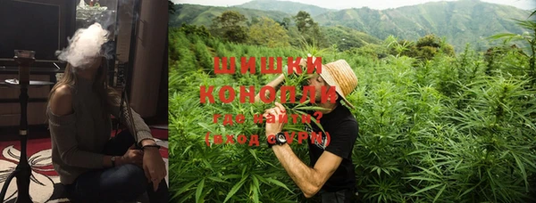 шишки Медногорск