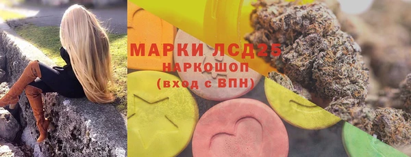 шишки Медногорск