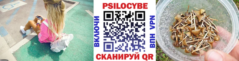 Галлюциногенные грибы Magic Shrooms  продажа наркотиков  mega зеркало  Дорогобуж 